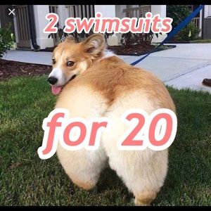 2 swimsuits for $20 deal